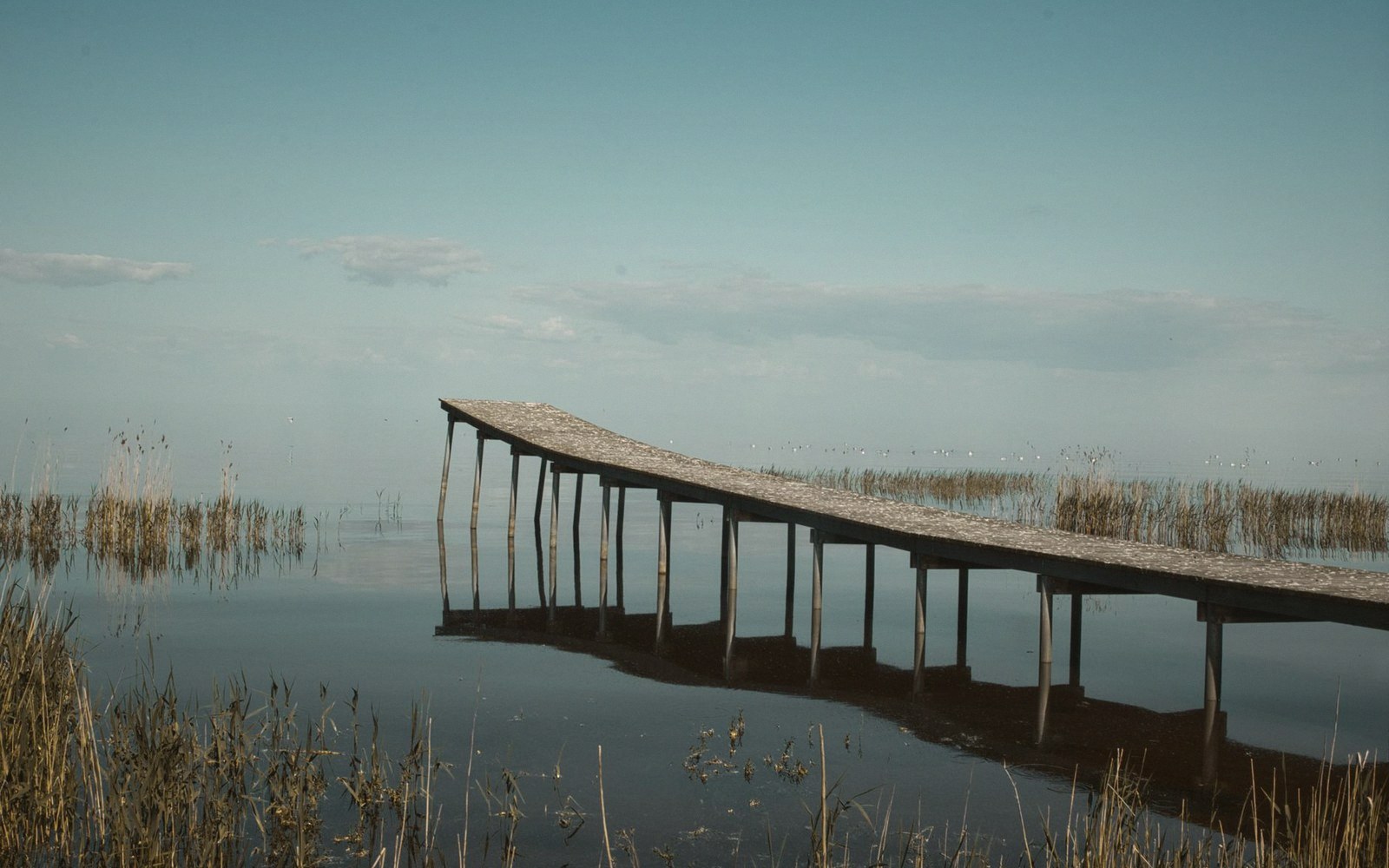 An exposed wet-wood causeway being sprayed